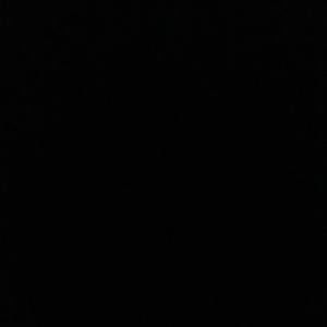 Meet your Posher, Griselda